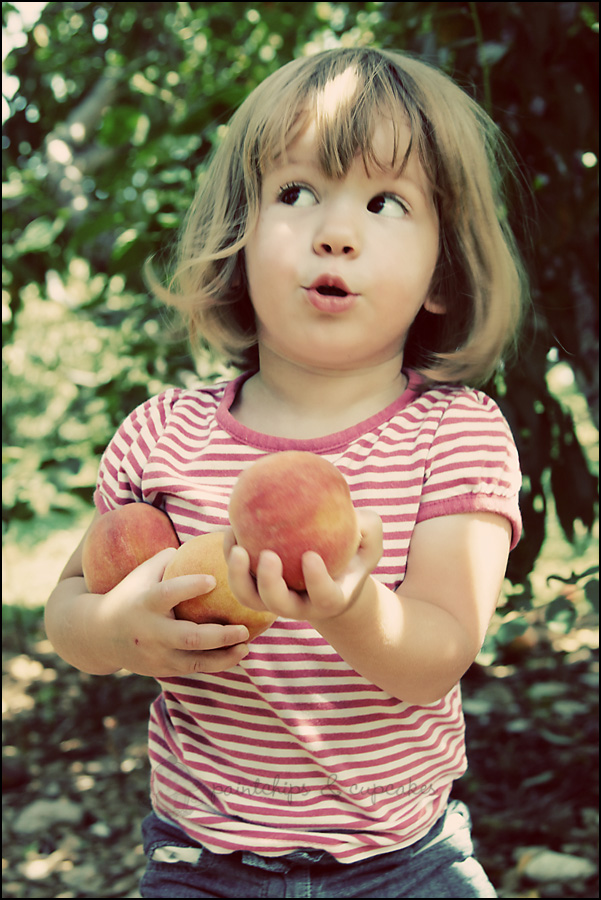 orchard
