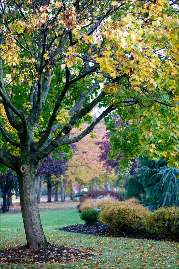 fall5