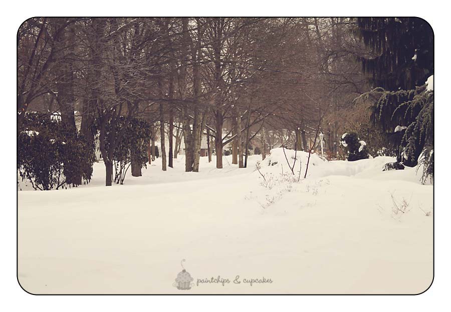 blog1edit copy