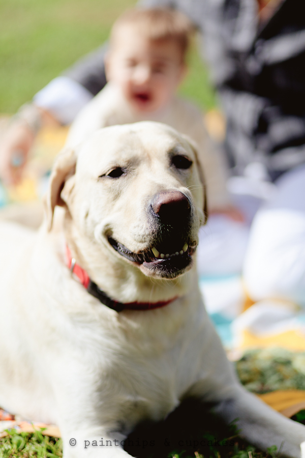 a_boy_a_dog_and_their_mom-1