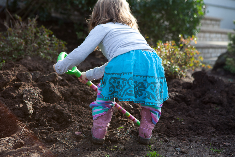 fall_planting-1