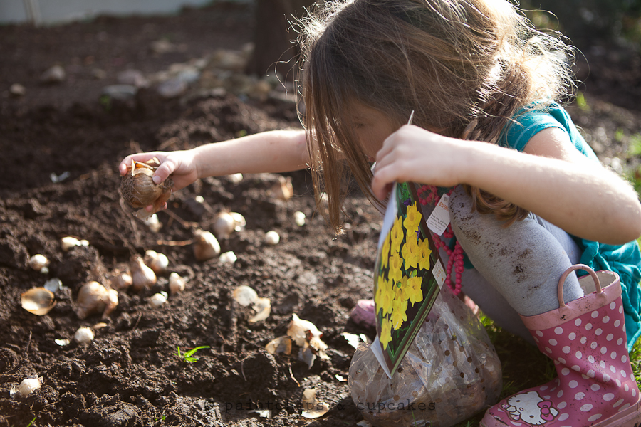 fall_planting-4