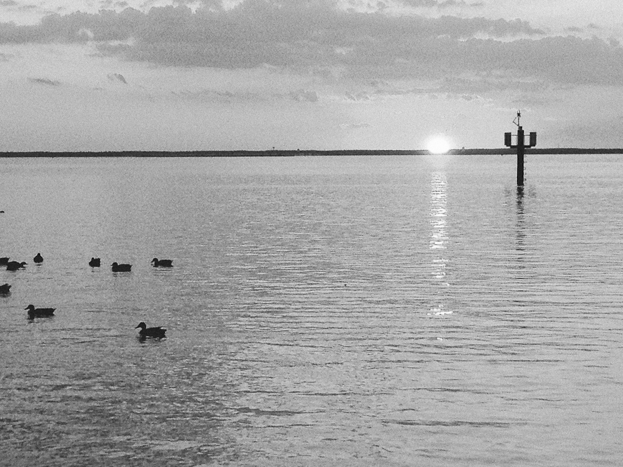 reflect-1
